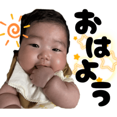 nyankoro_20260202123434