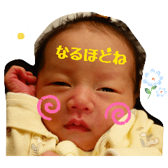 HAPPYROAD_20260202205057