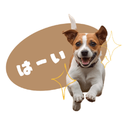 aki_JRT_everydaylife