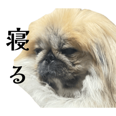 Arisa_20260202193814