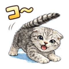 Shirou_20260202205705