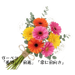 atsuko1226_20260202163155