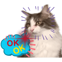 hito hito_20260202215108