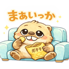 T.M.Y_20260202215414