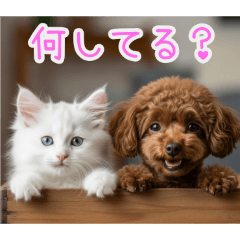 PAKAMOGOLY_20260202191653