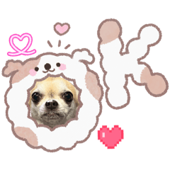 tm0014_20260202215613