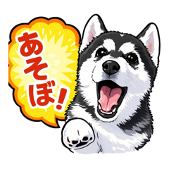 Momo_20260202215306