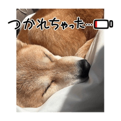 Mirai_20260202172545