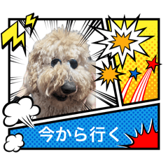 Suzu_20260202232422