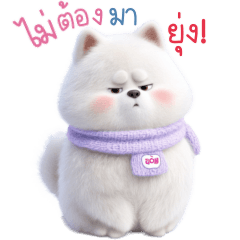 ซามอยด์ คู่รัก น่ารัก ใช้คุยกับแฟน 3_05