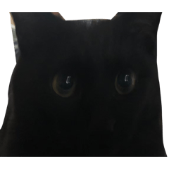 yumeko_20260131215459