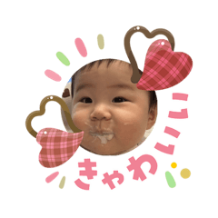 minami_20260203004927