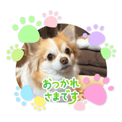 K.toyos_20260202181617