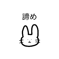 takitani_20260202201446