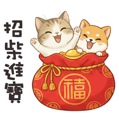 lovely cute cute cat4L