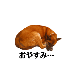 YUKINCO_20260201204125