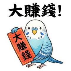 奇妙虎皮鸚鵡-過年系列-2