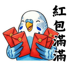 奇妙虎皮鸚鵡-過年系列-4