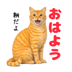 kakanon_20260130131225