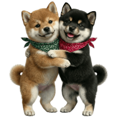 Chubby 3D Mame Shiba (Red & Black)