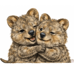 Gentle Realistic Quokka Stickers