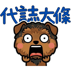 Taiwanese Welsh Terrier  31st