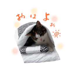 Reeee_20260202074939