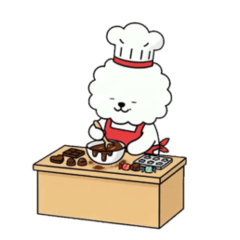 February Bichon Frise