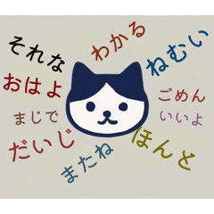三文字しか、言いません。ハチワレ猫