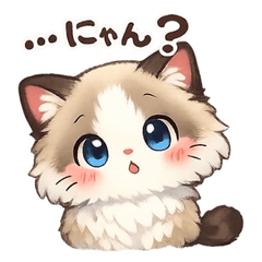 Ragdoll miru