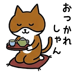 Choco the Cat's Laid-Back Hakata Dialect