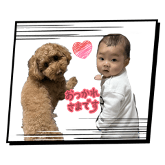 Momo_20260202165841