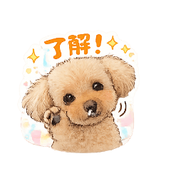 runa_20260202181453