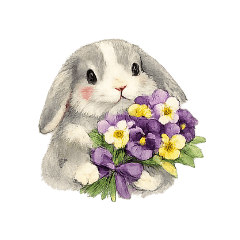 yonayona_20260202195710