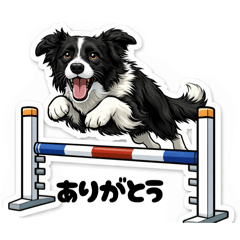 BUDDY BC_20260202213657