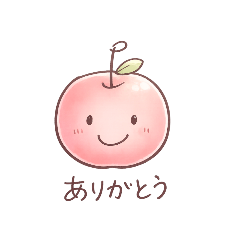 NoriTomo_20260202234223