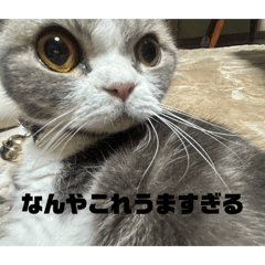 Itsuki_20260203075132