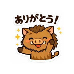 kinkin_20260203075320