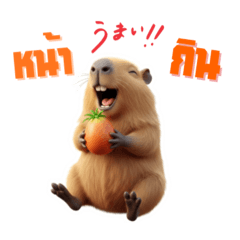 P & M_20260201183515