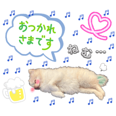 miso3939_20260202151821