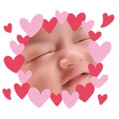 Bulldog_20260202162257