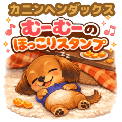 Muumuu the cute Kaninchen Dachshund