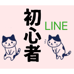初心者にも優しい/大人女子の気遣い。