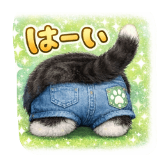 keitan_20260202233504