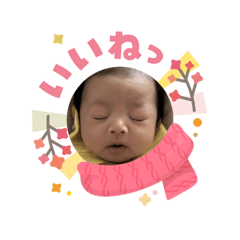 pyonpoki_20260203083059