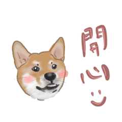 Kimi 小公舉