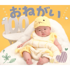 Sakii_20260202162018