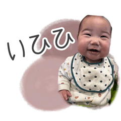 momo_20260202163257