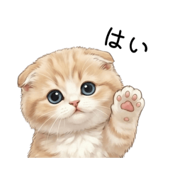 ayrihari_20260203001214