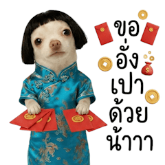 ชิวาว่าขออั่งเปาหน่อยน้า (BGZ)